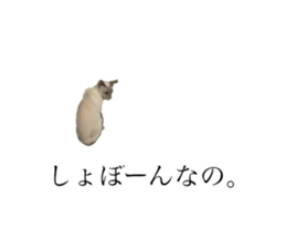148056317