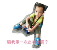 148066853
