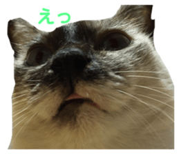 148103609