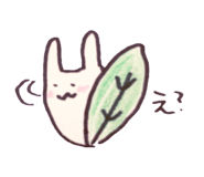 148433010