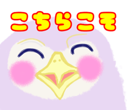 148448194