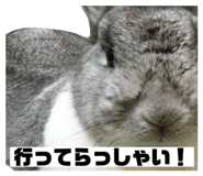 148453488