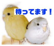 148453500