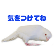 148453501