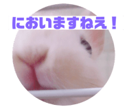 148453503
