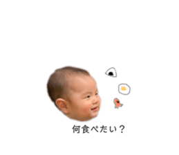 148555254