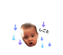 148555264