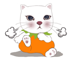 14855657