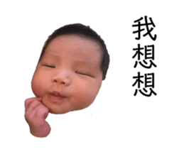 148597831