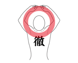 148603972
