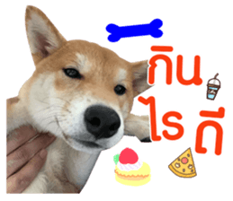 148650420