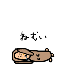 148807007