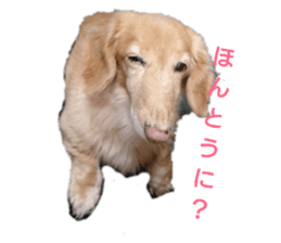 148810079