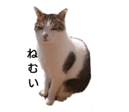 148810082