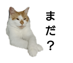 148810117