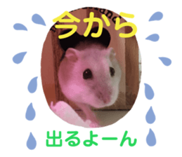 148857714