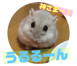 148857740