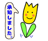 148874297