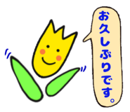 148874327