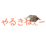 148876550