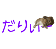 148876551