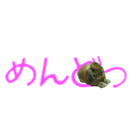 148876552