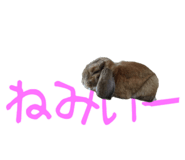 148876553