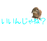 148876554