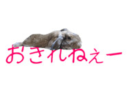 148876555