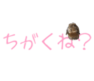 148876557
