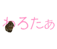 148876558