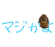 148876559