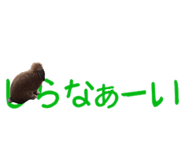 148876560
