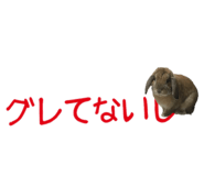 148876561