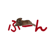 148876562