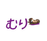 148876565