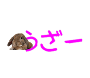 148876566