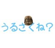 148876567