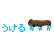 148876568