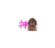 148876570
