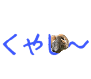 148876571
