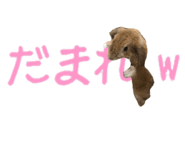 148876572