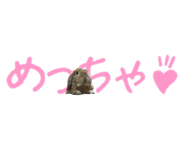 148876573