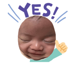 148956386