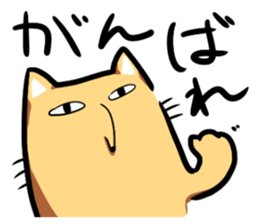 14901048