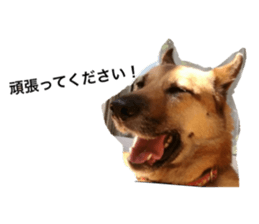 149026682