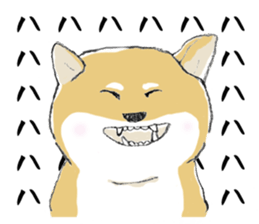 14904754