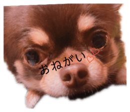 149056753