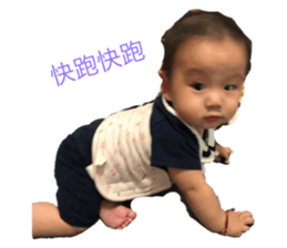 149075661