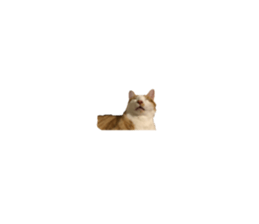 149113465